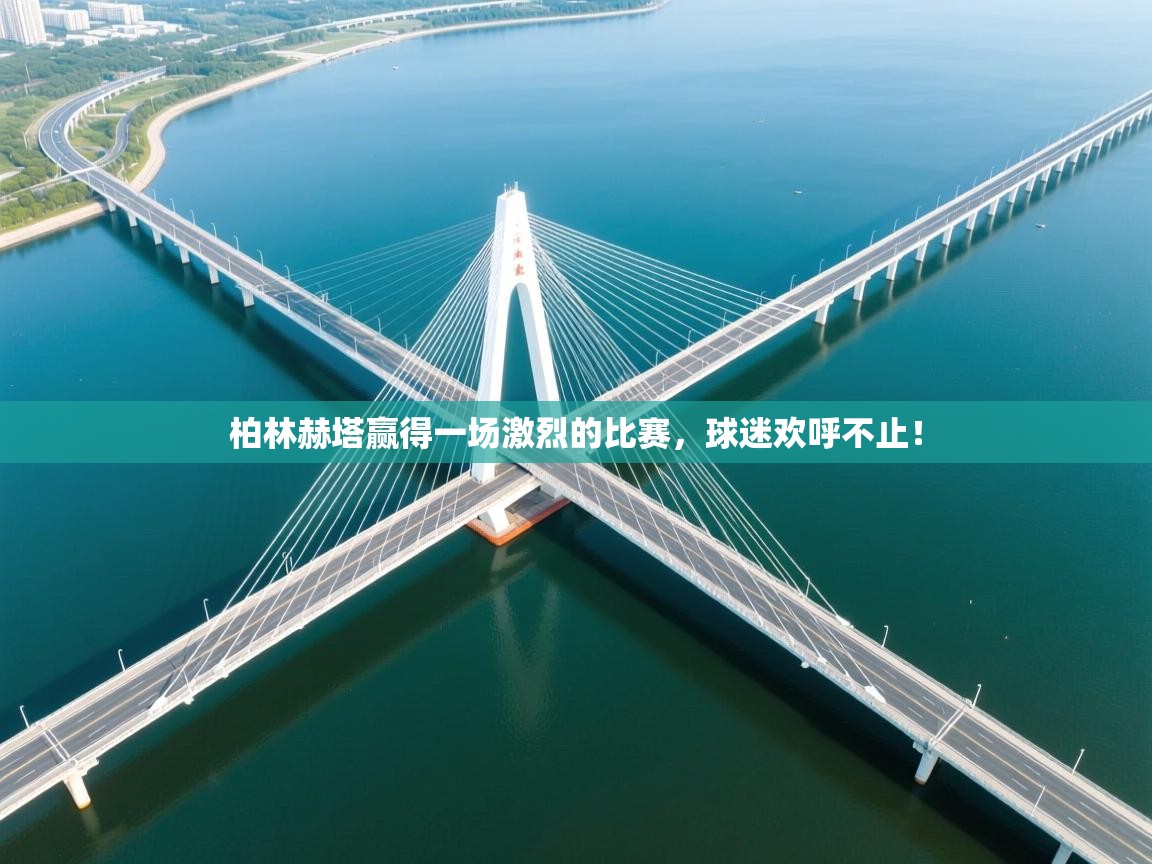 柏林赫塔赢得一场激烈的比赛,球迷欢呼不止! 第1张