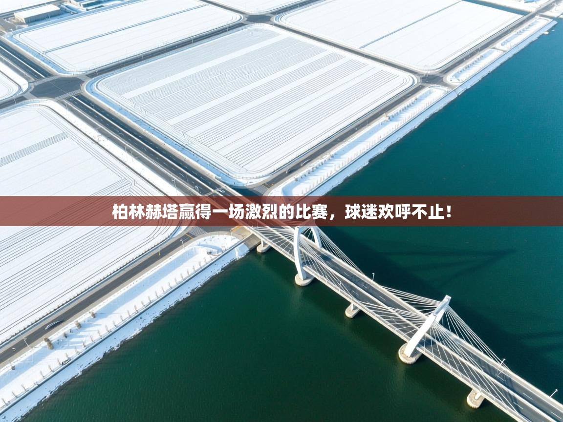 柏林赫塔赢得一场激烈的比赛,球迷欢呼不止! 第2张