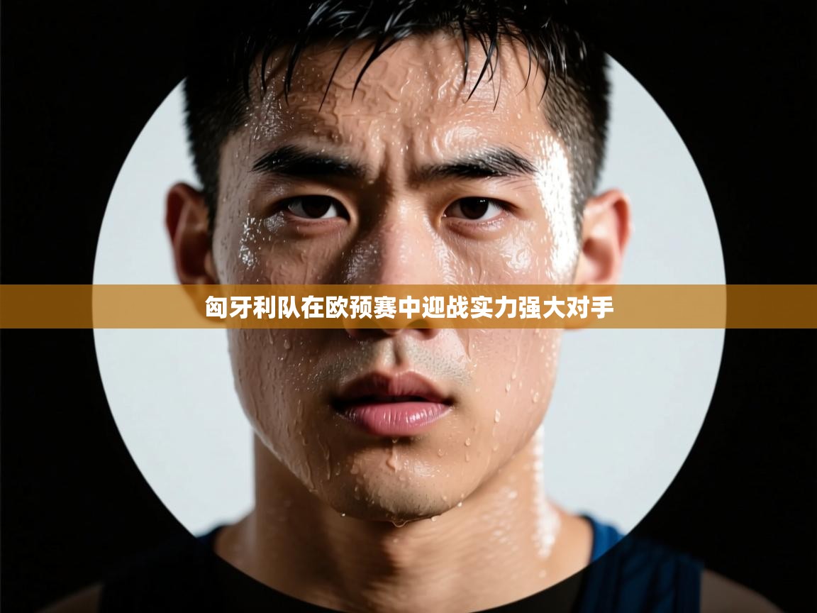 匈牙利队在欧预赛中迎战实力强大对手 第1张