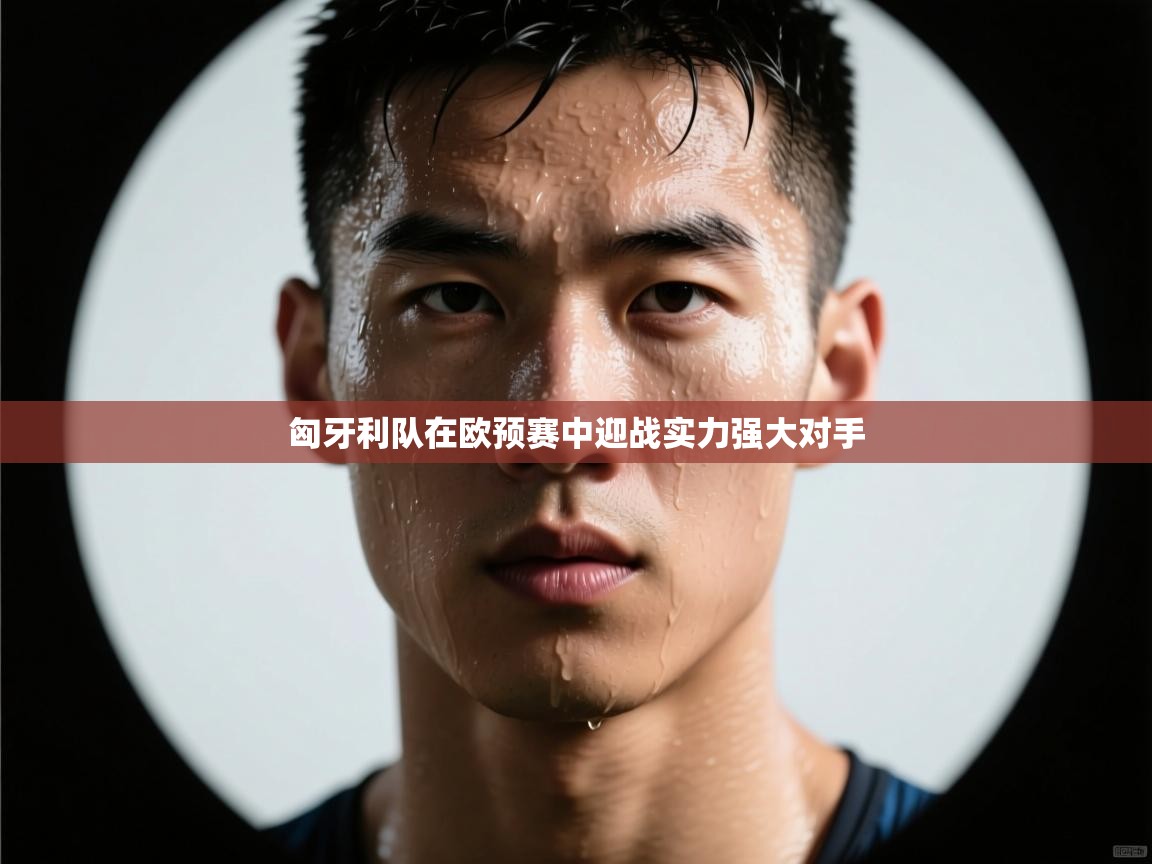 匈牙利队在欧预赛中迎战实力强大对手 第2张