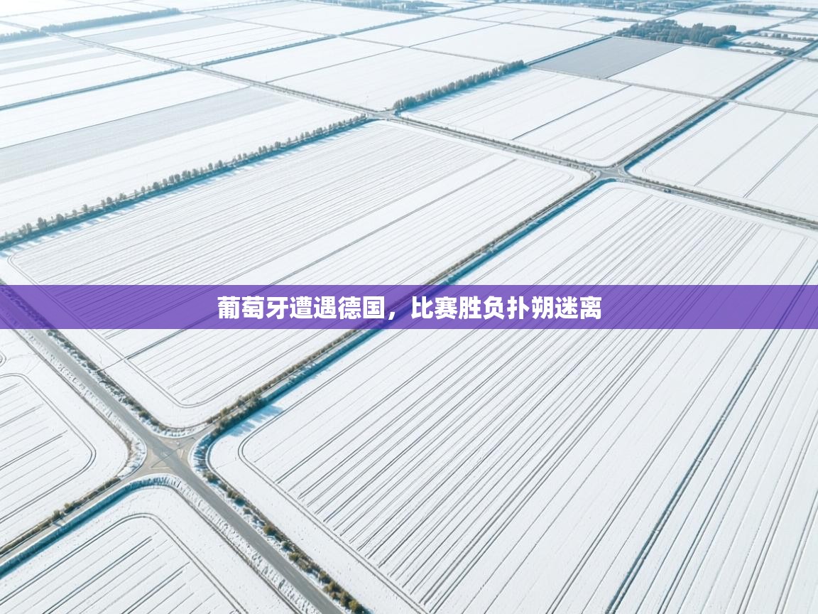 葡萄牙遭遇德国,比赛胜负扑朔迷离 第1张