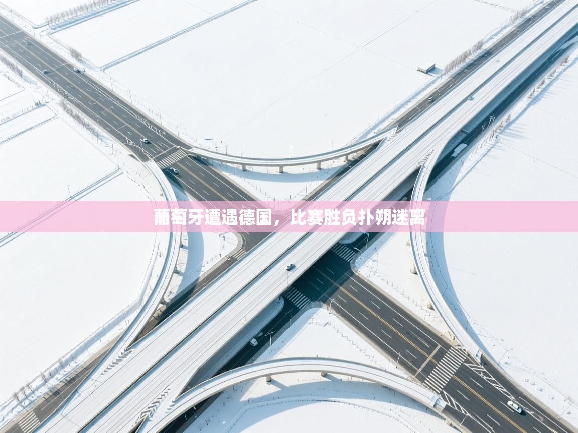 葡萄牙遭遇德国,比赛胜负扑朔迷离 第2张