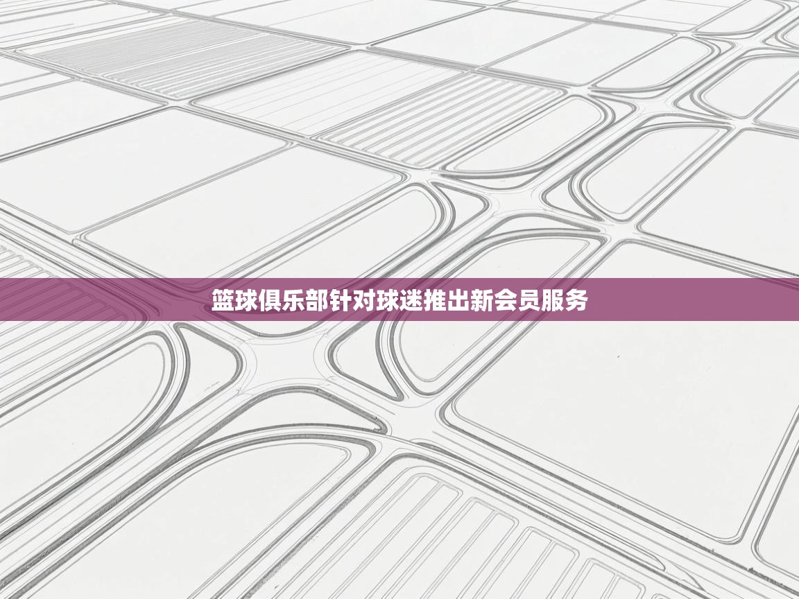 篮球俱乐部针对球迷推出新会员服务 第2张