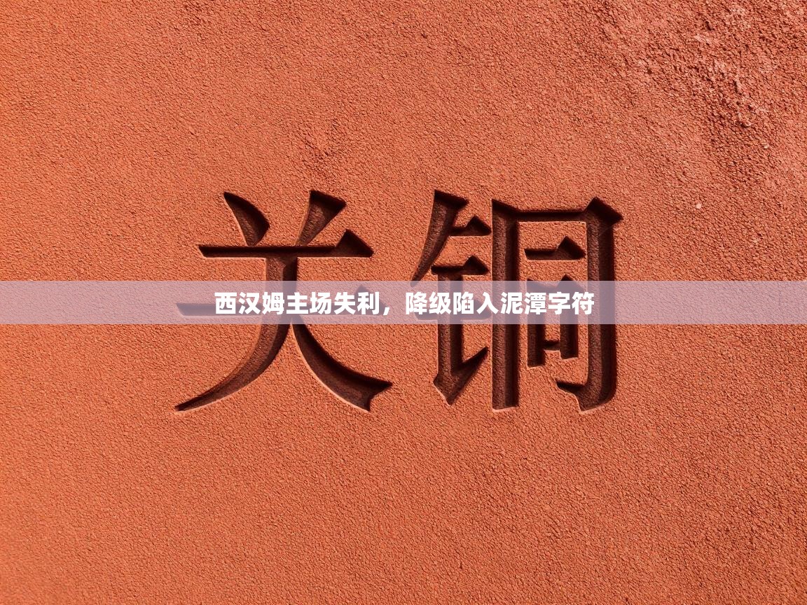 西汉姆主场失利，降级陷入泥潭字符  第1张