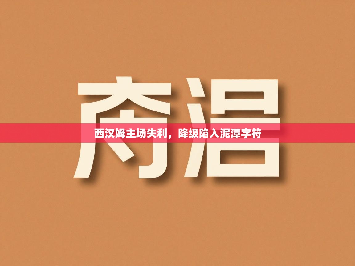 西汉姆主场失利，降级陷入泥潭字符  第2张